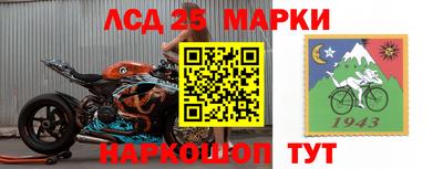 гашик Донской