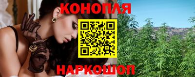 гашик Донской