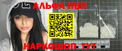 гашик Донской
