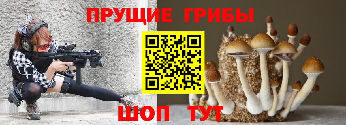 Галлюциногенные грибы GOLDEN TEACHER  Вход с VPN  закладка  Лыткарино 