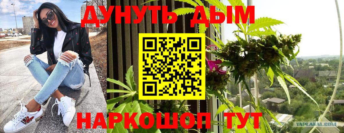 Канабис ГИДРОПОН Лыткарино